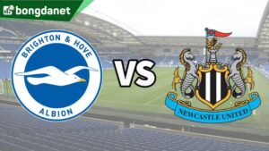 Brighton & Hove Albion vs Newcastle United